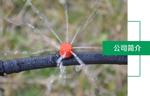 公司簡(jiǎn)介